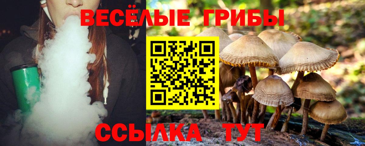 Галлюциногенные грибы Magic Shrooms  Галлюциногенные грибы Cubensis  Вход с VPN  Чусовой 